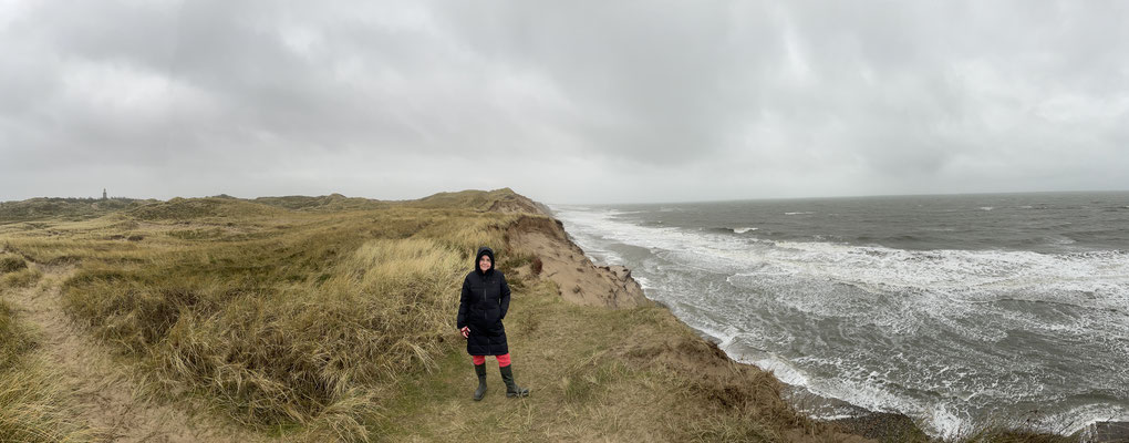 Bild: Klippen am Meer