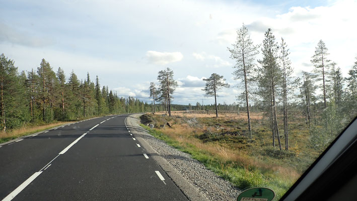 Bild: Fahrt Richtung Storforsen