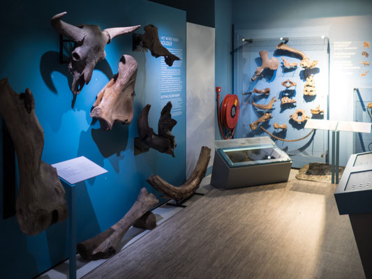 Museum von Schokland in den Niederlanden - Foto 1