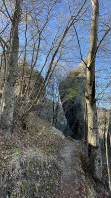 Dente del Gigante