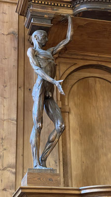 Muskelstatue