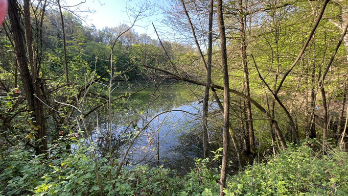 Parco Boschi