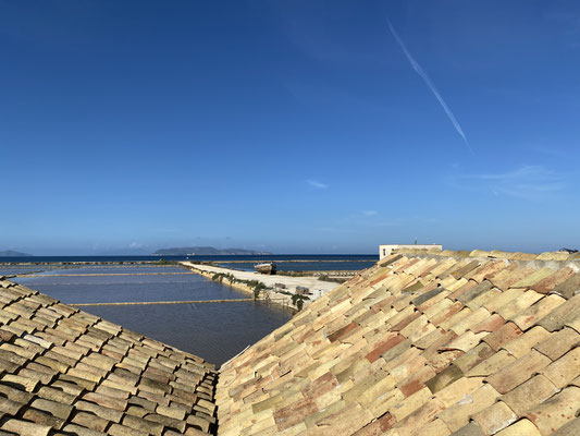 Saline Culcasi