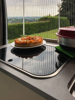 Sauerteig-Aprikosenkuchen
