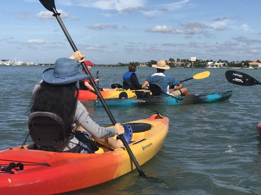 Bild: Kayakfahrt auf dem Meer