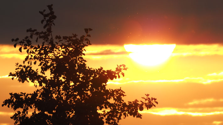 Abendstimmung