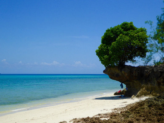 Bild: Herrlicher Strand