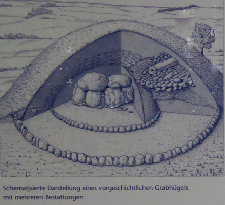 Bild: Schematisierte Darstellung