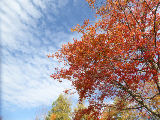 Bild: Indian Summer in Nova Scotia