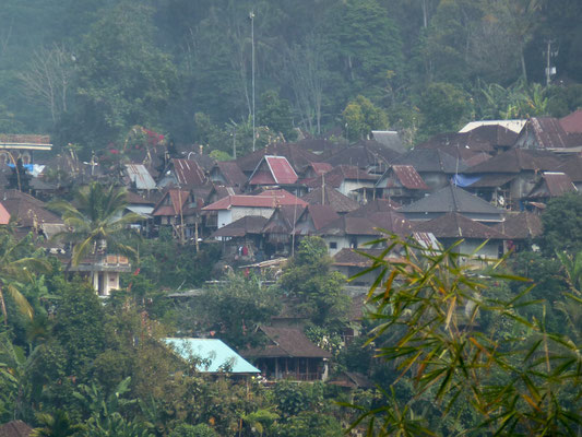 Bild: Das Dorf Jatiluwih