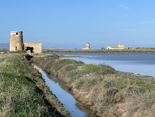 Saline Culcasi