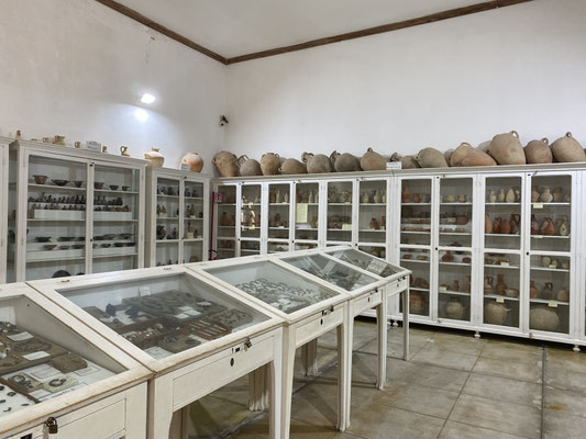 Whitaker Museum