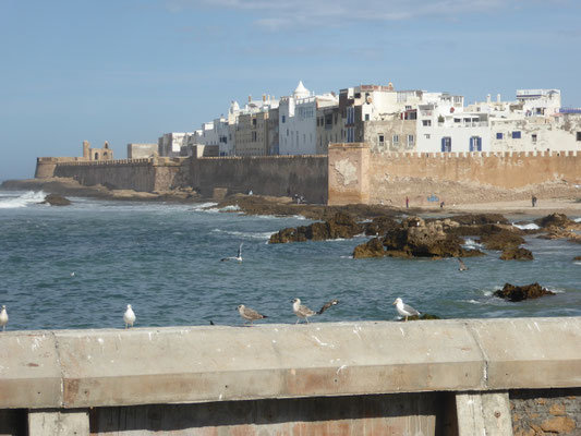 Bild: Essarouira vom Hafen aus
