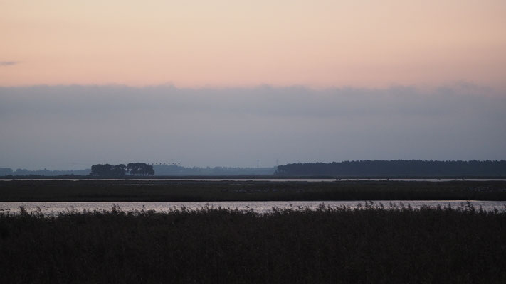 Morgenstimmung