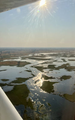 Bild: Das Delta