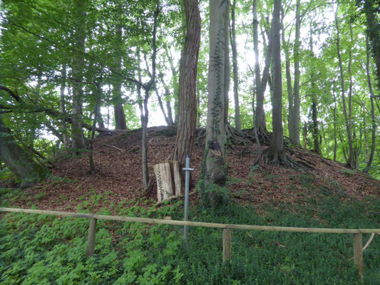 Bild: Grabhügel