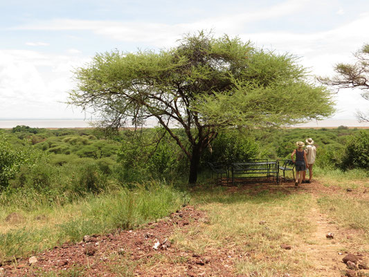 Bild: Lake Manyara