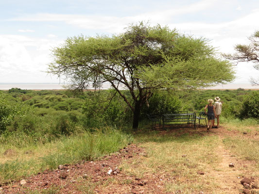 Bild: Lake Manyara