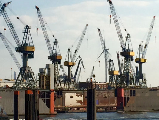 Bild: Blick von der Promenade Dalmannkai auf die andere Elbseite - 3