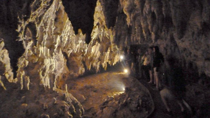 Bild: Die Waitcomo Caves