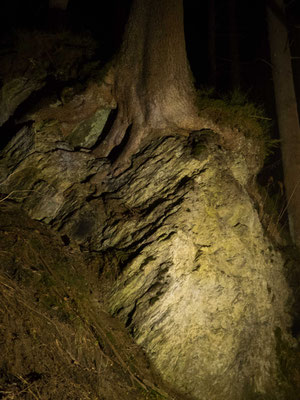 Bild: Talbachklamm