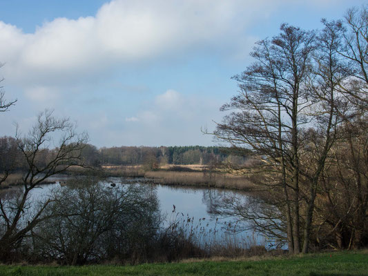 Bild: Naturschutzgebiet Kibitzbraak