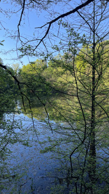 Parco Boschi