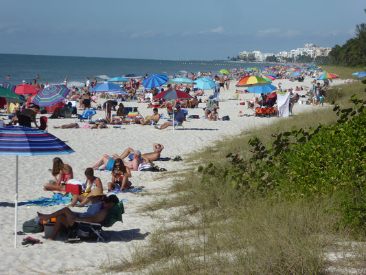Bild: Der Strand von Naples in Florida