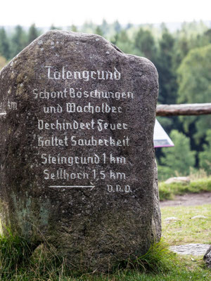 Bild: Findling Totengrund in dem NSG Lüneburger Heide