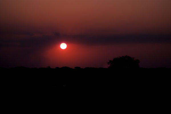 Bild: Abendstimmung