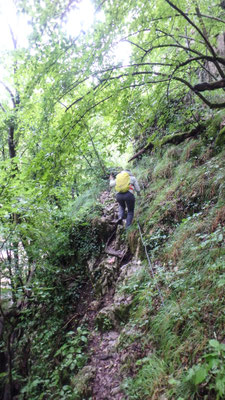 Bild: Steiler Weg bergauf