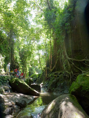 Bild: Monkey Forest