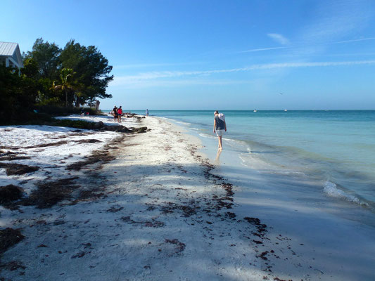 Ein langer Strand der zu langen Spazierengängen einlädt