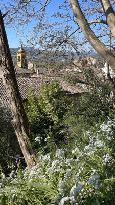 Brisighella