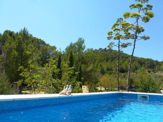 Bild: Pool