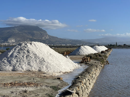 Saline Culcasi