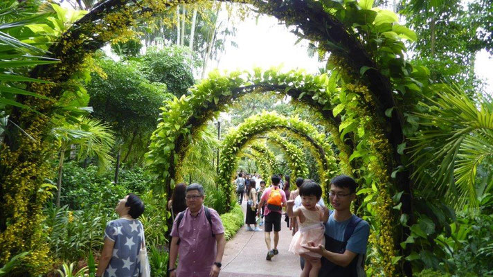 Bild: Laubengang im National Orchid Garden in Singapur