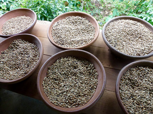 Bild: Verschiedene Kaffeebohnen