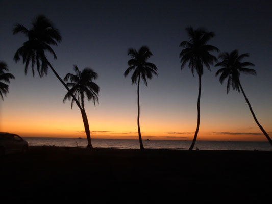 Bild: Sonnenuntergang hinter Palmen