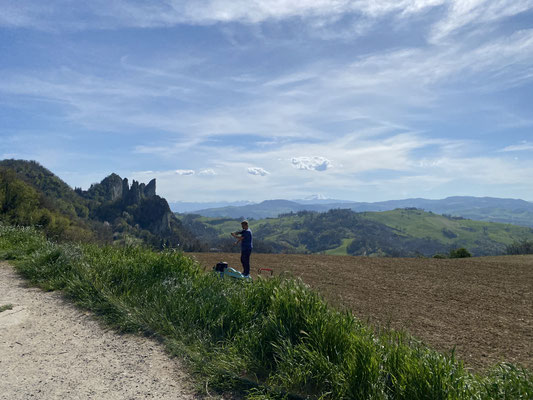 Geigerin auf dem Feld