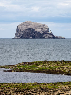 Bild: Bass Rock