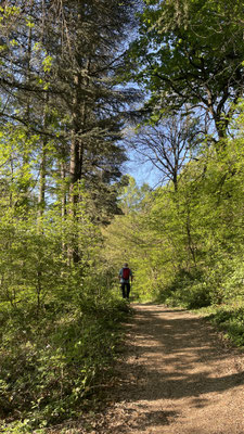 Parco Boschi