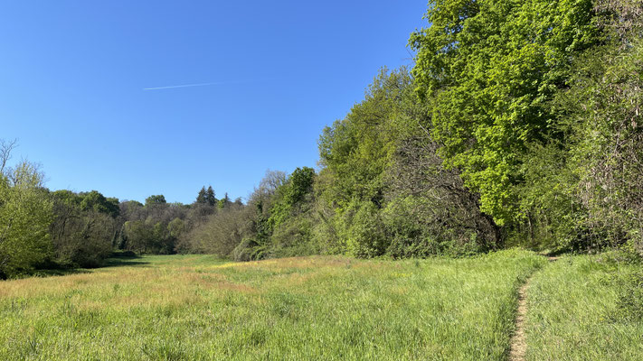 Parco Boschi