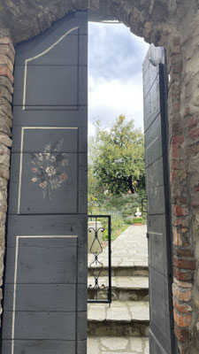 Blick in Garten