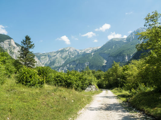 Landschaftsfoto 1