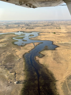 Bild: Das Okavangodelta
