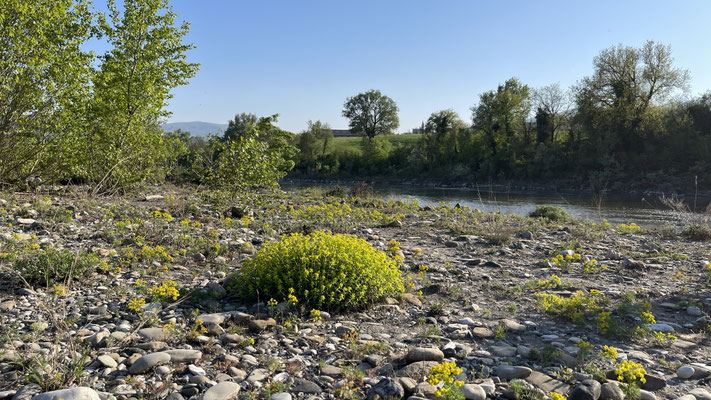 Flusspark Trebbia