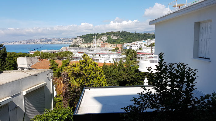 Les Iris - Nice