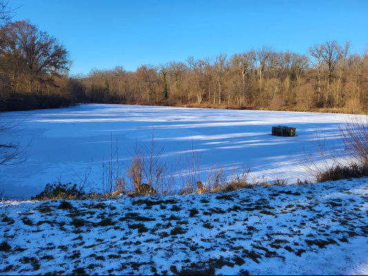 Ernst-Maurer See im Winter 2025/26