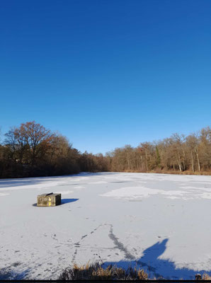 Ernst-Maurer See im Winter 2025/26